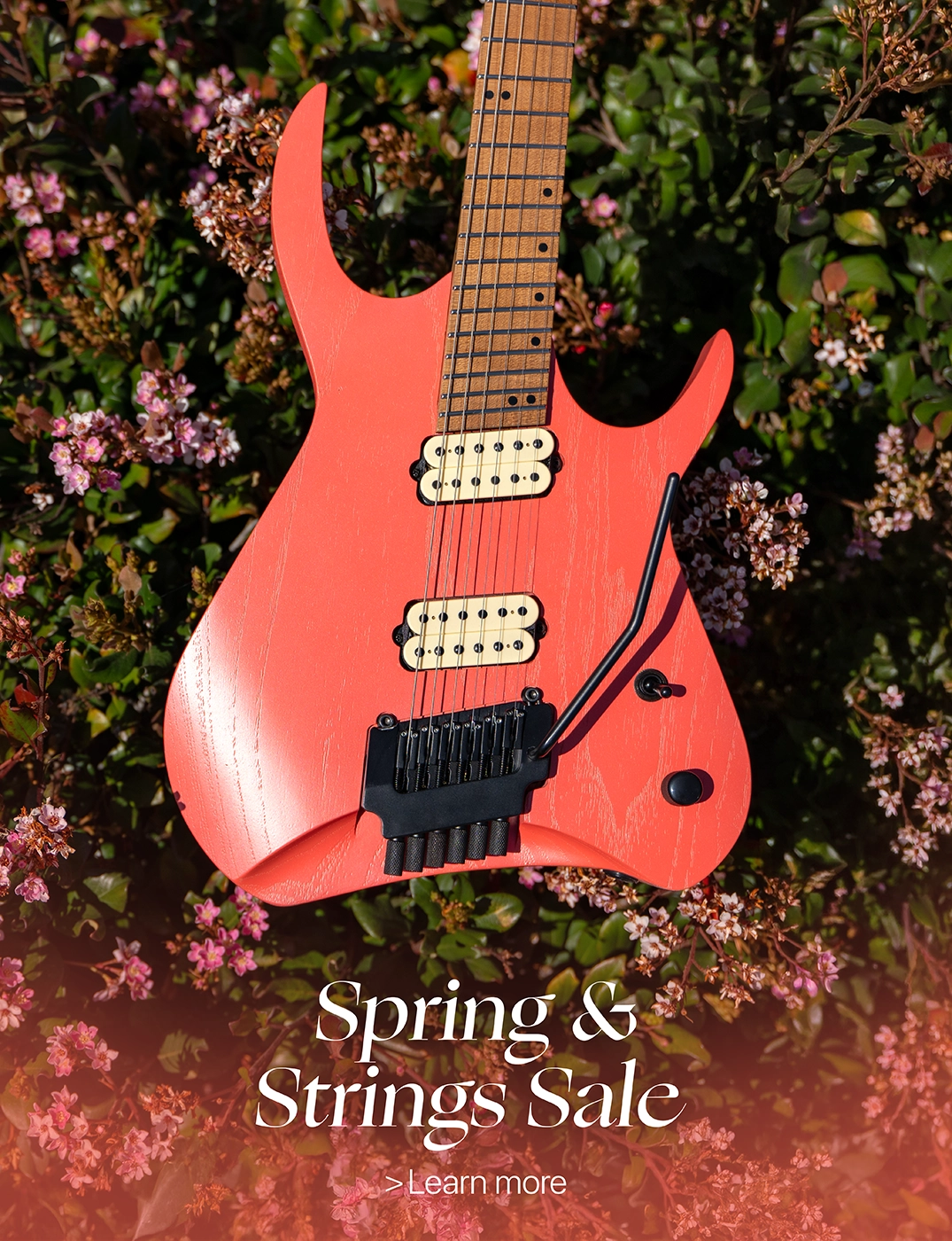 Spring and Strings Sale