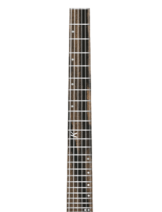 Royal Ebony Fingerboard