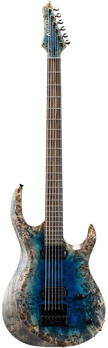 Kiesel Aries Guitar