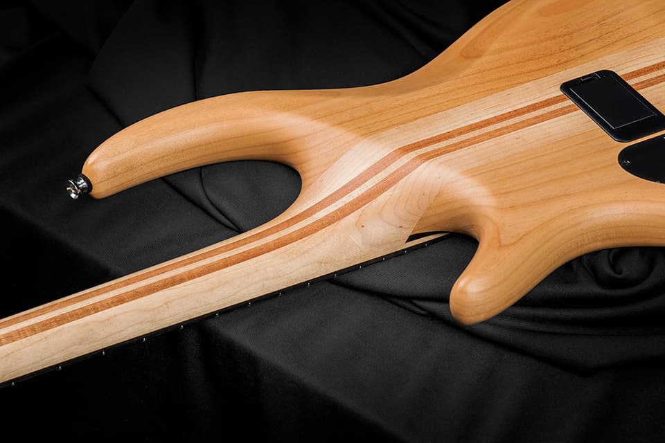/Kiesel Guitars Icon Neck Heel With 5 piece maple neck w/ 2 mahogany stripes and alder body