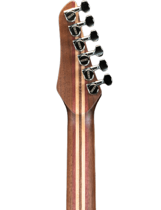 7-Piece Walnut Neck w/ Purpleheart/Maple/Walnut Stripes