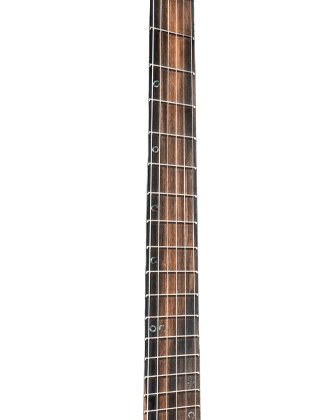 Royal Ebony Fingerboard