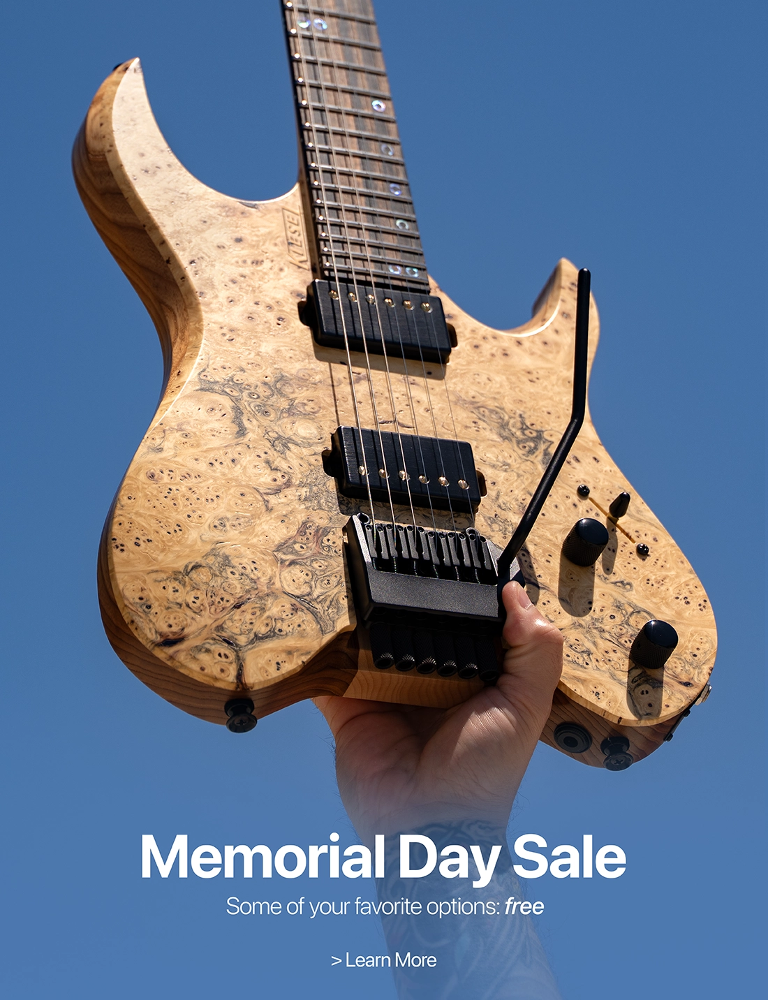 Kiesel Guitars
